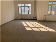 �����������̳���[�Ͽ���]